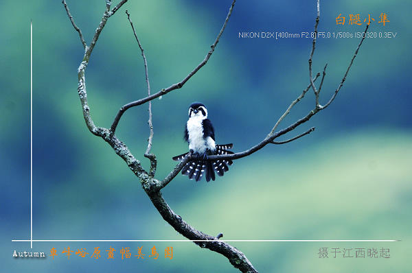 婺源晓起拍片散记